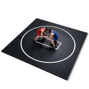 5x10-10x10-8x8 Wrestling Mat for Home – In Home Wrestling Mat, Foam Jiu Jitsu Mats, Rollout Wrestling Mats for Kids, Folding Training Mats for BJJ, Grappling, Martial Arts, Boxing, MMA - 1